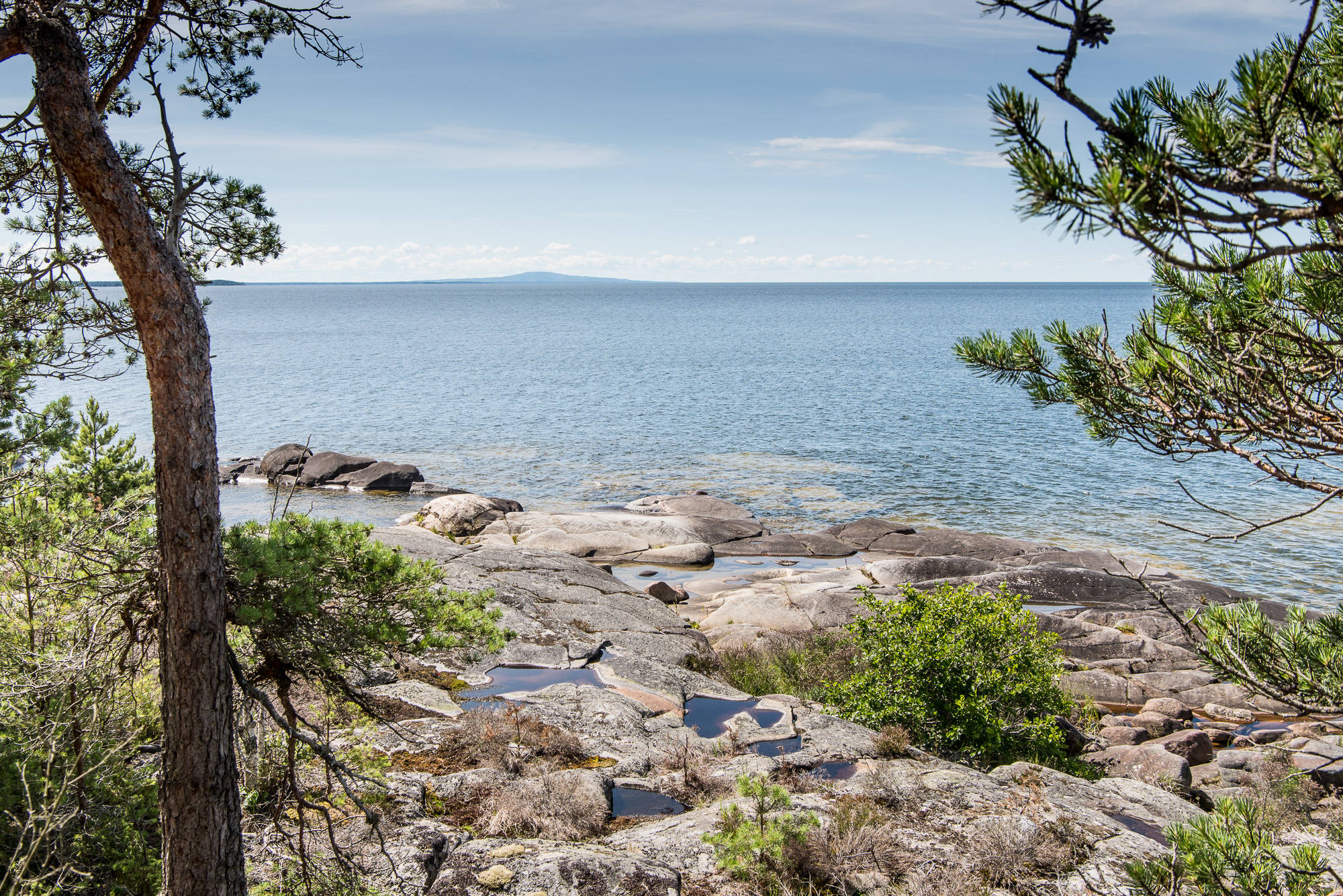 Torsö